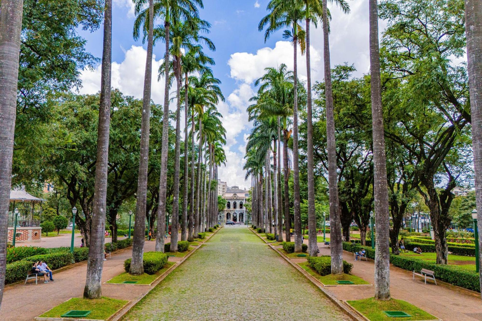 Woods * Belo Horizonte